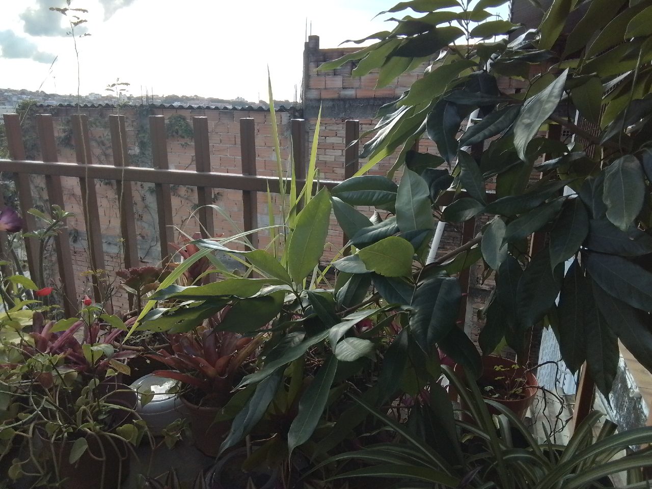 Lote Esquina Plano